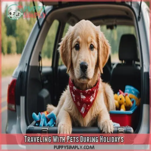 Traveling With Pets During Holidays