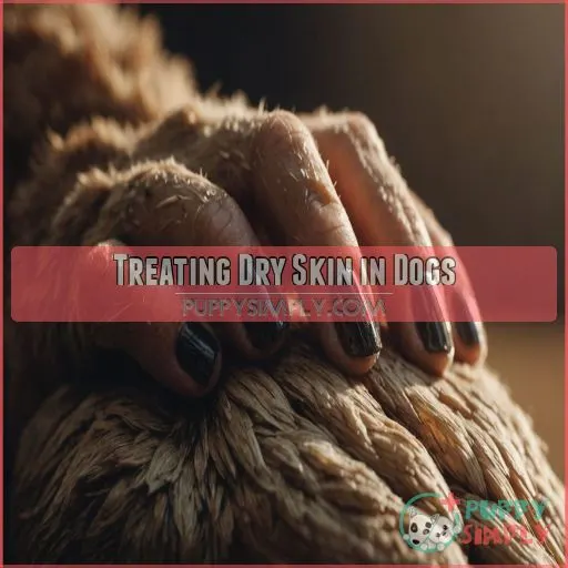 Treating Dry Skin in Dogs