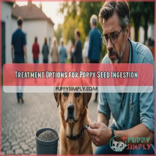 Treatment Options for Poppy Seed Ingestion