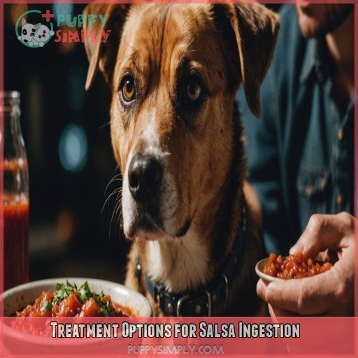 Treatment Options for Salsa Ingestion