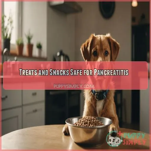 Treats and Snacks Safe for Pancreatitis