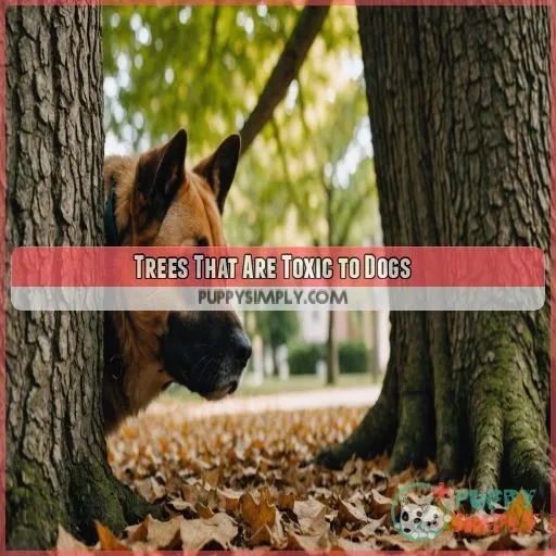 Trees That Are Toxic to Dogs