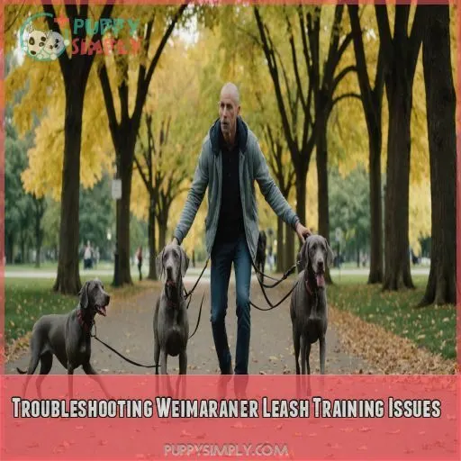 Troubleshooting Weimaraner Leash Training Issues