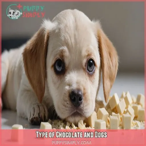 Type of Chocolate and Dogs