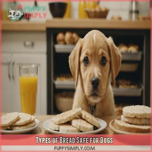 Types of Bread Safe for Dogs