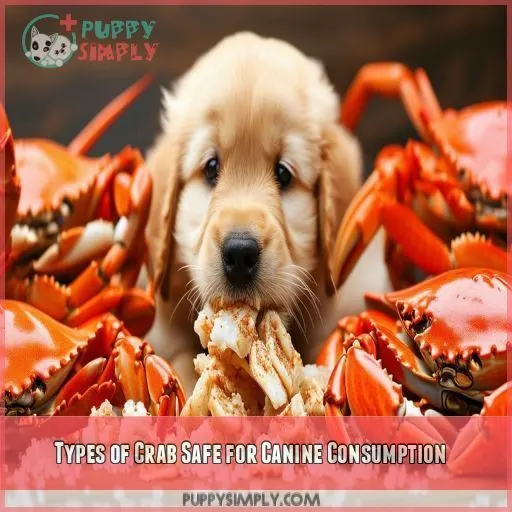 Types of Crab Safe for Canine Consumption