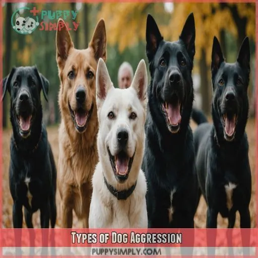 Types of Dog Aggression