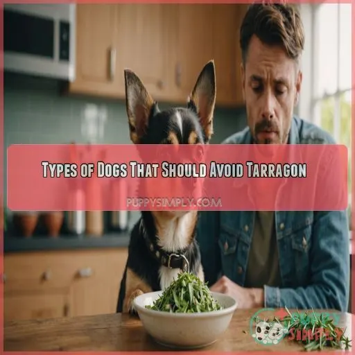 Types of Dogs That Should Avoid Tarragon