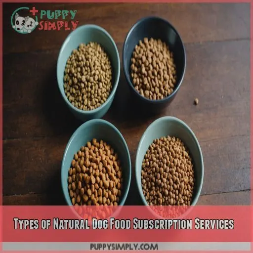 Types of Natural Dog Food Subscription Services