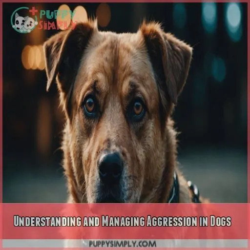 Understanding and Managing Aggression in Dogs