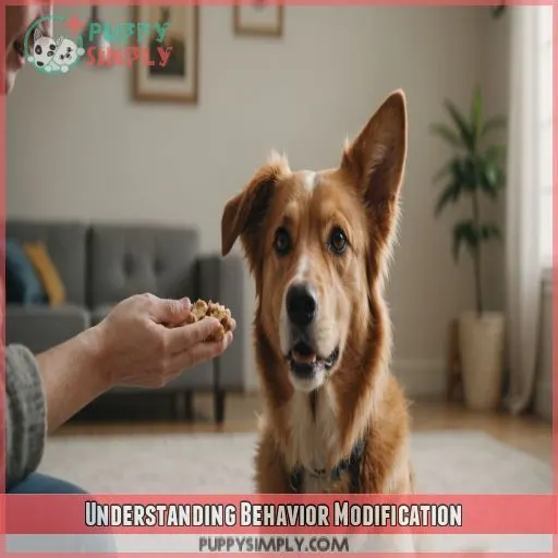 Understanding Behavior Modification