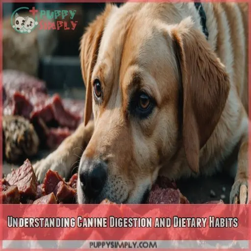 Understanding Canine Digestion and Dietary Habits