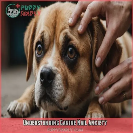 Understanding Canine Nail Anxiety