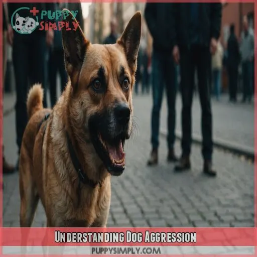 Understanding Dog Aggression