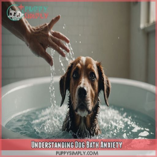 Understanding Dog Bath Anxiety Understanding Dog Bath Anxiety