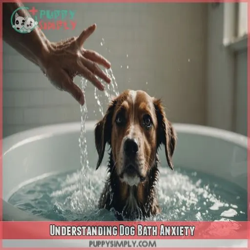 Understanding Dog Bath Anxiety