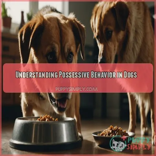 Understanding Possessive Behavior in Dogs