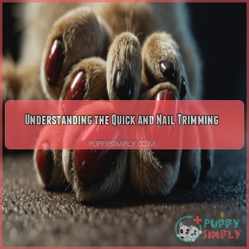 Understanding the Quick and Nail Trimming