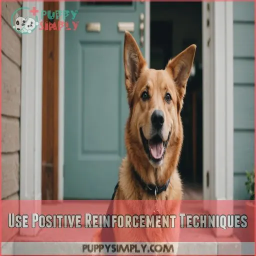 Use Positive Reinforcement Techniques