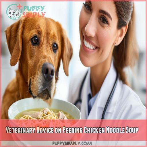 Veterinary Advice on Feeding Chicken Noodle Soup