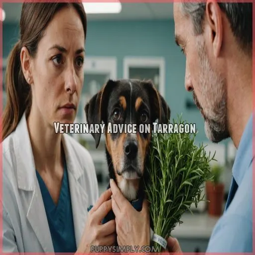 Veterinary Advice on Tarragon