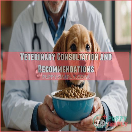 Veterinary Consultation and Recommendations