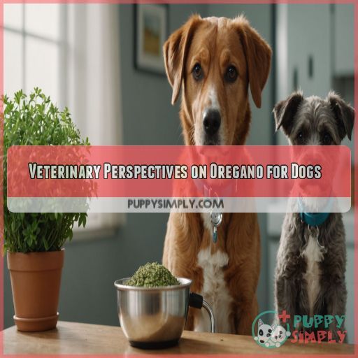 Veterinary Perspectives on Oregano for Dogs