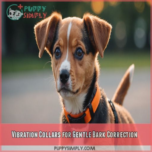 Vibration Collars for Gentle Bark Correction