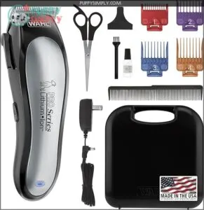 Wahl USA Lithium Ion Pro