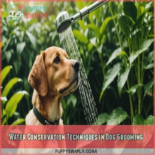 Water Conservation Techniques in Dog Grooming