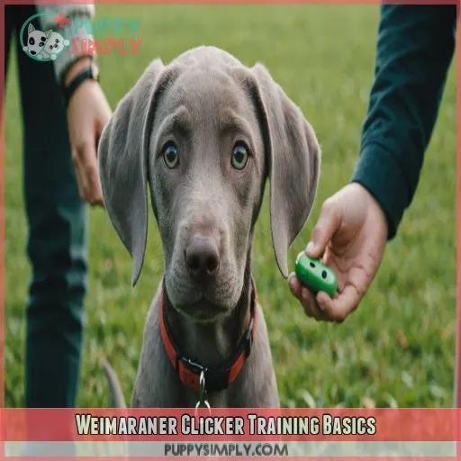 Weimaraner Clicker Training Basics