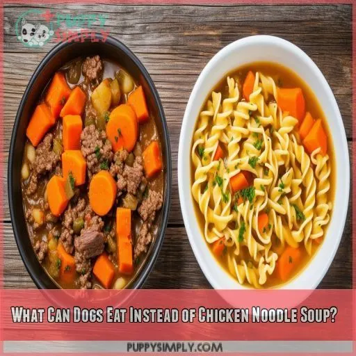 What Can Dogs Eat Instead of Chicken Noodle Soup