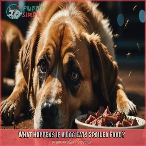 What Happens if a Dog Eats Spoiled Food