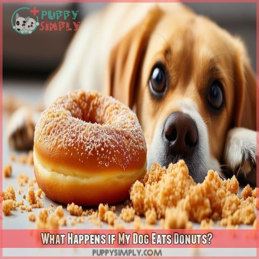 What Happens if My Dog Eats Donuts