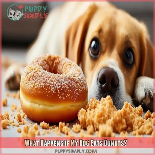 What Happens if My Dog Eats Donuts