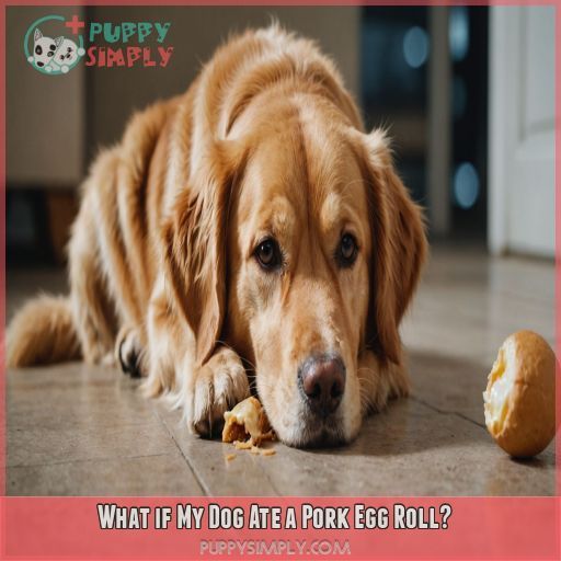 What if My Dog Ate a Pork Egg Roll