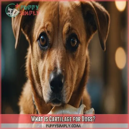 What is Cartilage for Dogs