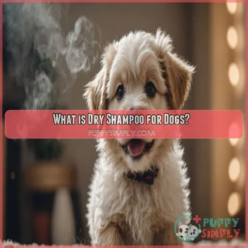 What is Dry Shampoo for Dogs