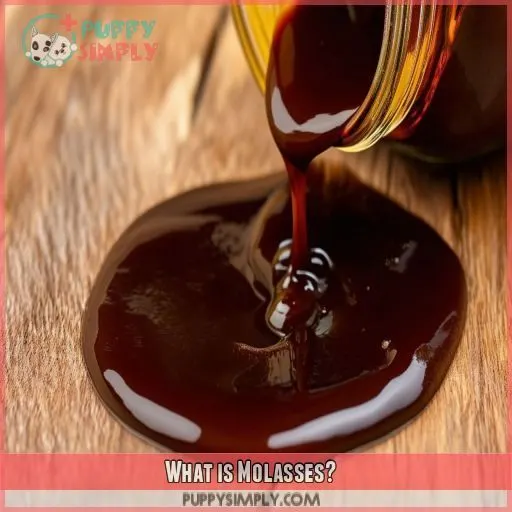 What is Molasses