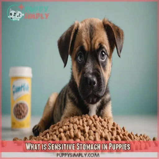 What is Sensitive Stomach in Puppies