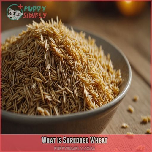 What is Shredded Wheat What is Shredded Wheat