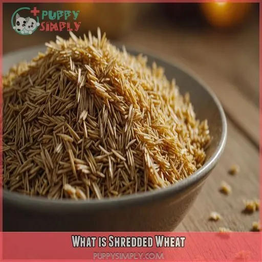 What is Shredded Wheat