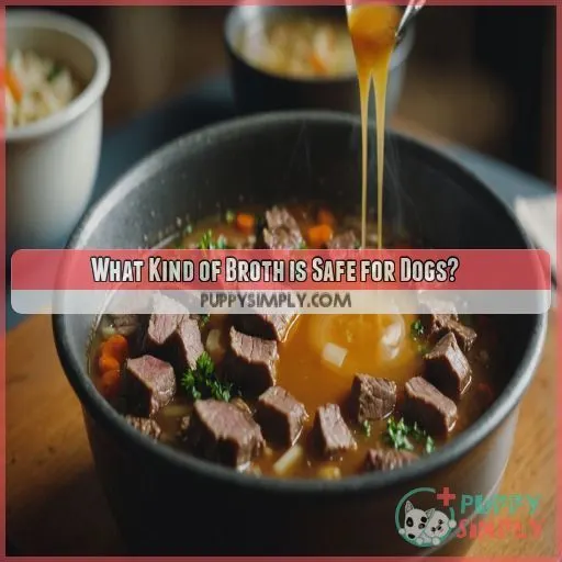 What Kind of Broth is Safe for Dogs