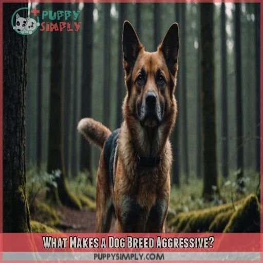 What Makes a Dog Breed Aggressive What Makes a Dog Breed Aggressive