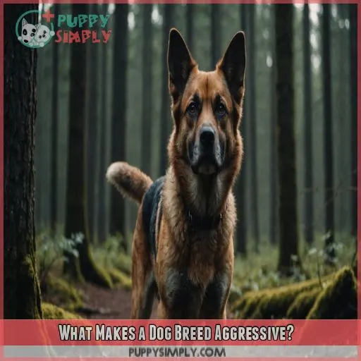 What Makes a Dog Breed Aggressive