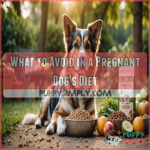 What to Avoid in a Pregnant Dog