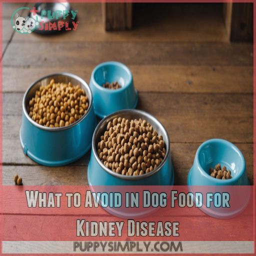 What to Avoid in Dog Food for Kidney Disease