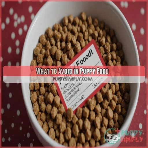 What to Avoid in Puppy Food