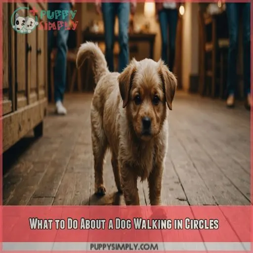 What to Do About a Dog Walking in Circles