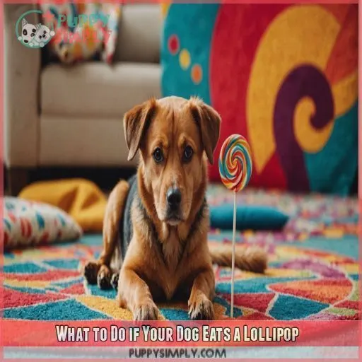 What to Do if Your Dog Eats a Lollipop